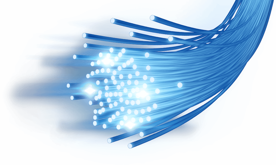 sw-fibers.png